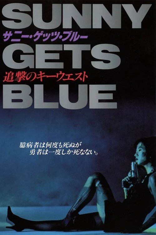 Sunny Gets Blue (1991) poster