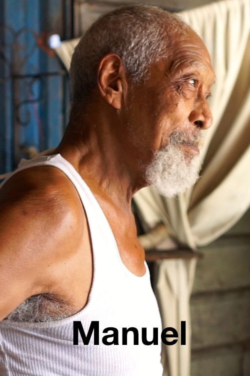 Manuel (2017) poster