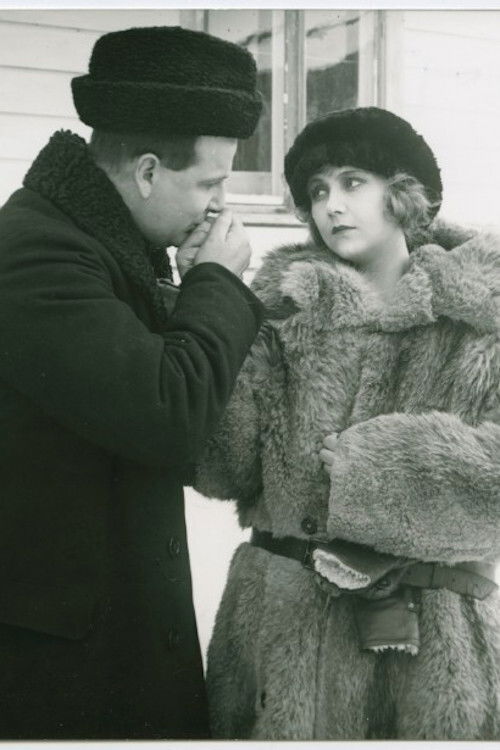 När millionerna rullar (1924) poster