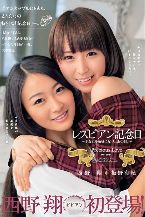 Lesbian Anniversary (2015) poster