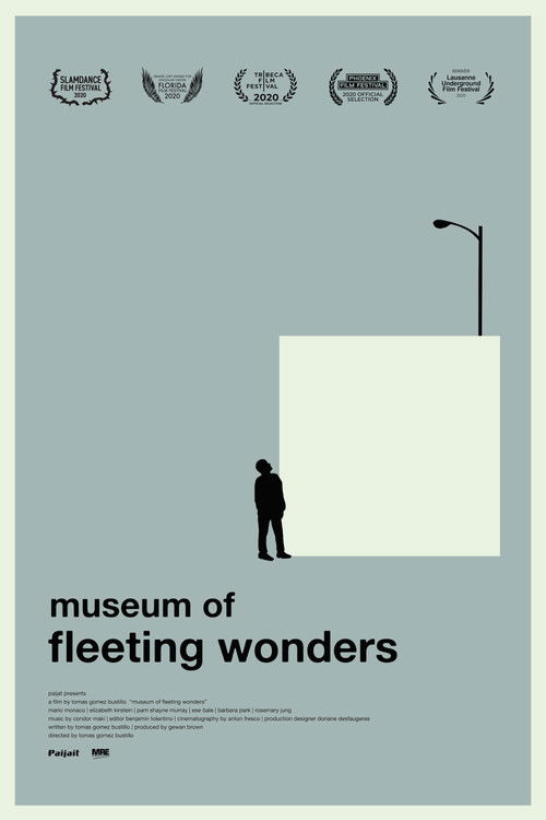 Museum of Fleeting Wonders (2020) poster