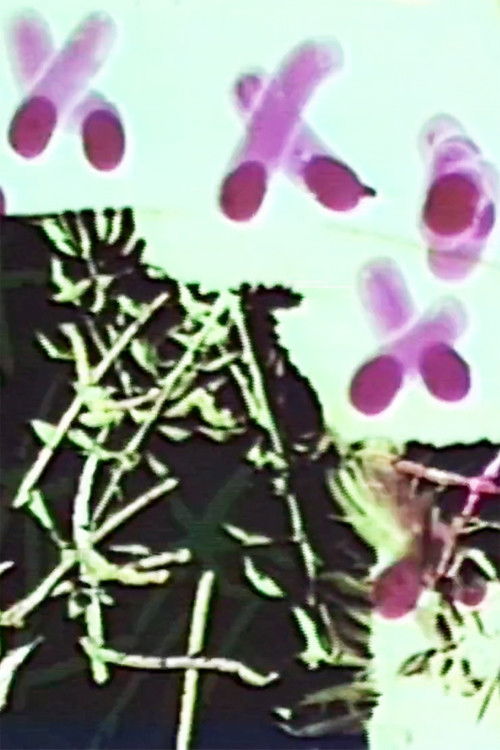 Frottage/Dommage/Fromage 2 Vous (2008) poster