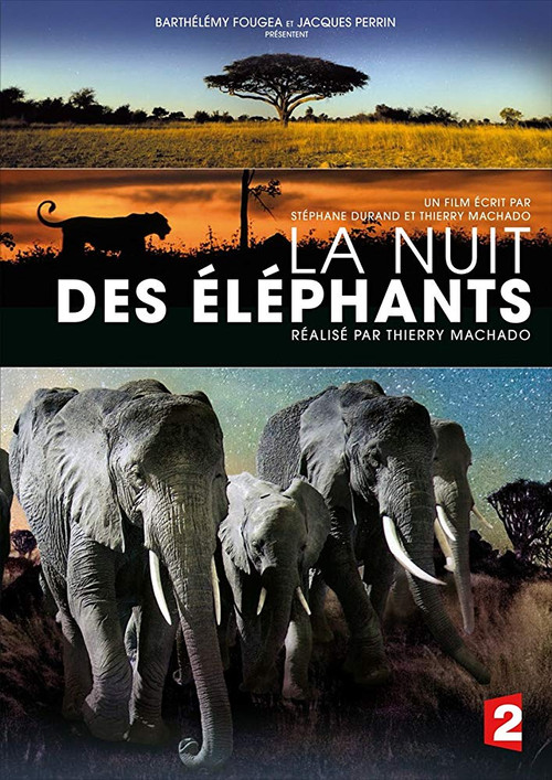 La Nuit des éléphants (2014) poster