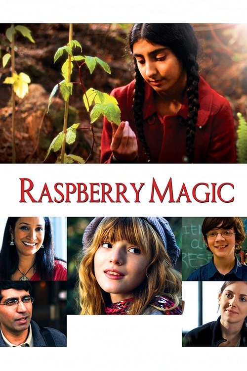 Raspberry Magic (2010) poster
