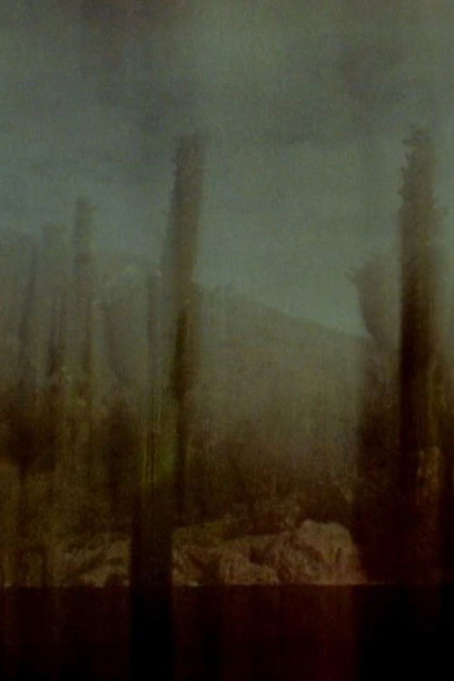 Sucsando (2019) poster