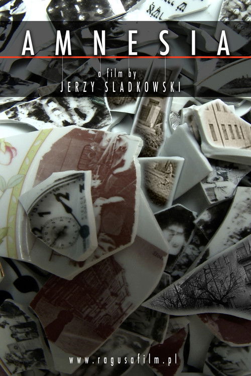 Amnezja (2015) poster