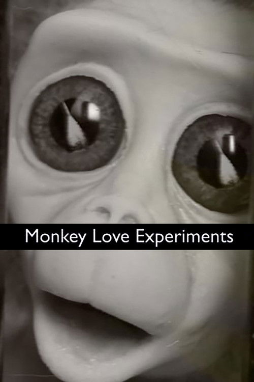 Monkey Love Experiments (2014) poster