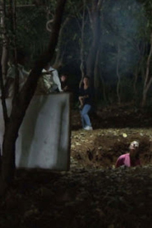 All the Witches (2018) poster