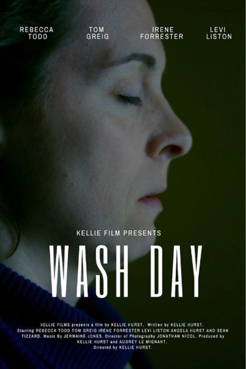 Wash Day (2021) poster