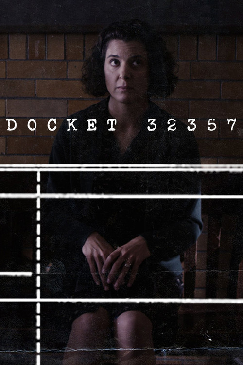 Docket 32357 (2012) poster