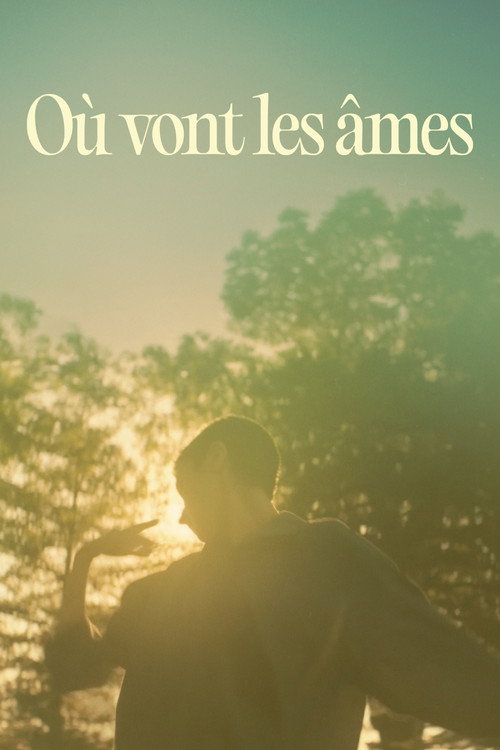 Où vont les âmes? (2025) poster