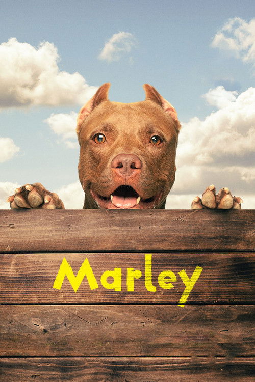 Marley (2022) poster