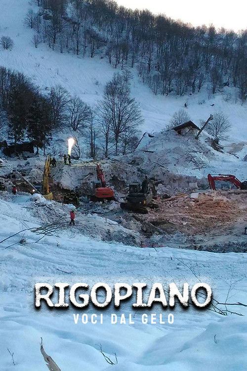 Rigopiano: voci dal gelo (2018) poster