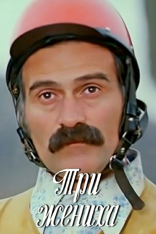 Three Sons-In-Law (1978) poster