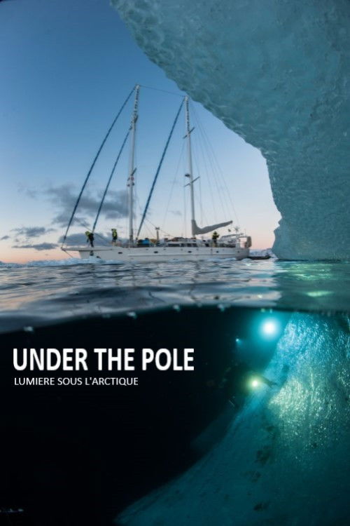 Under The Pole : Lumière Sous l'Arctique (2017) poster