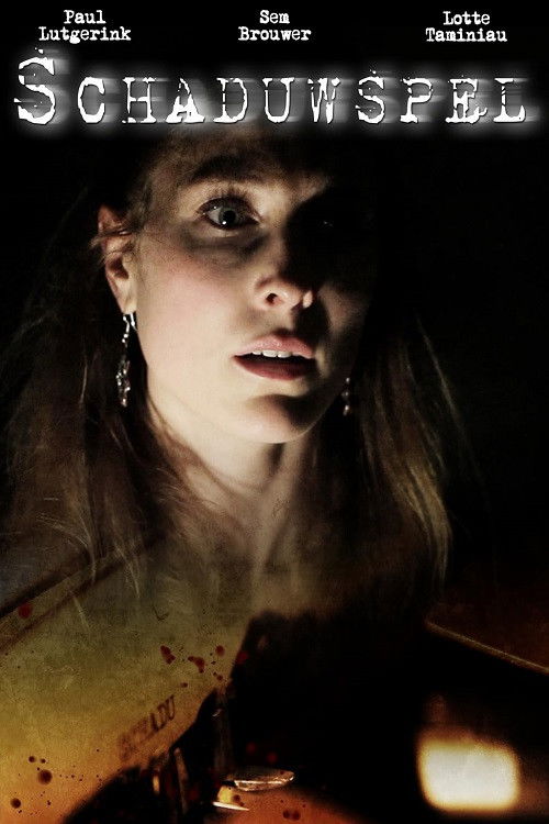 Shadow Play (2013) poster