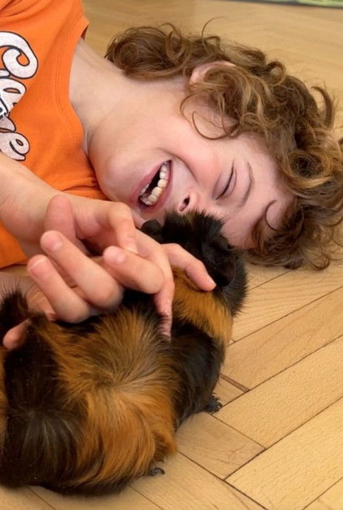 Приключения реального самурая в мире катастроф (2025) poster