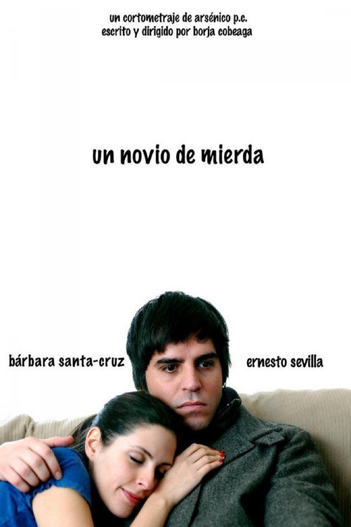A Shitty Boyfriend (2010) poster