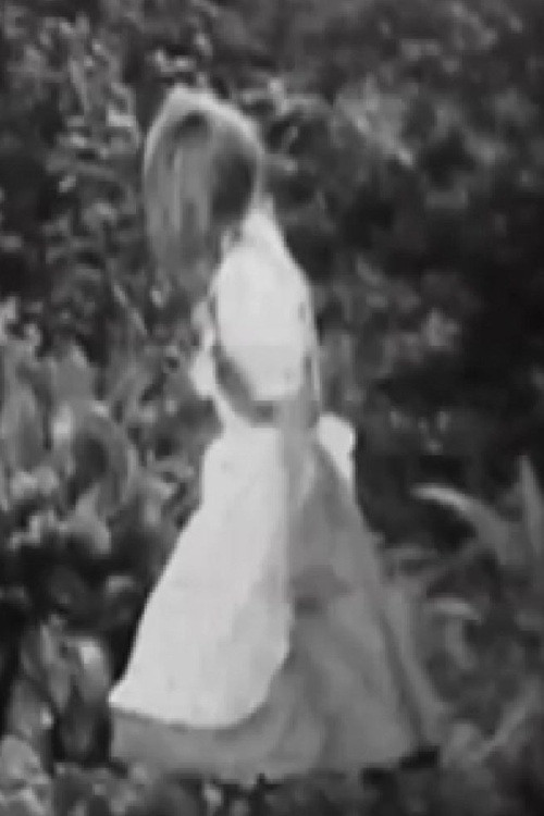 Alicia, Lewis Carroll y el tiempo (2000) poster