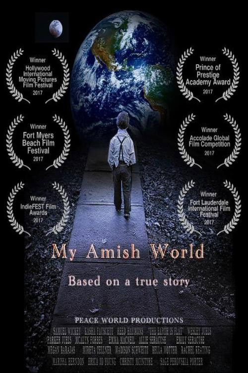 My Amish World (2017) poster