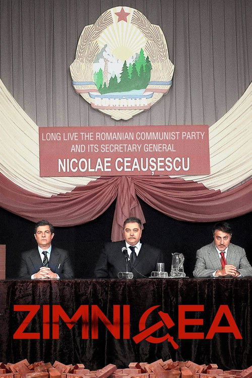 Zimnicea (2020) poster