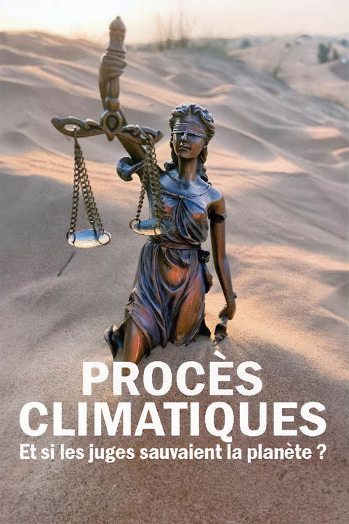 Retten Richter jetzt das Klima ? (2023) poster