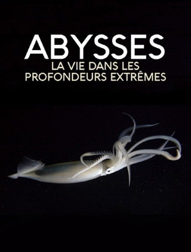 Extreme der Tiefsee - Abysses (2018) poster