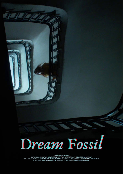 Dream Fossil (2024) poster