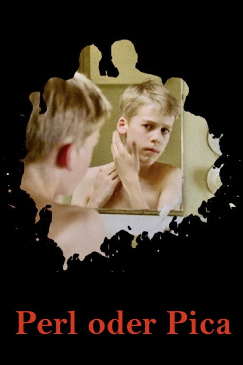 Perl oder Pica (2006) poster