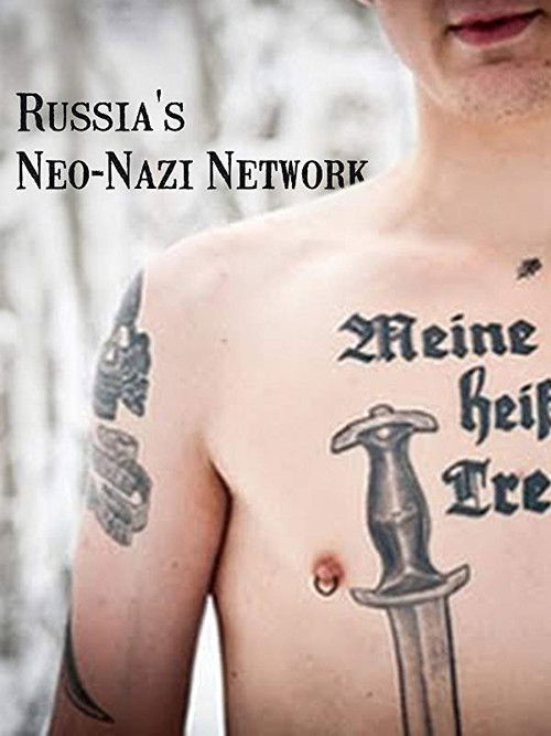 Russia's Neo-Nazi Network (2013) poster