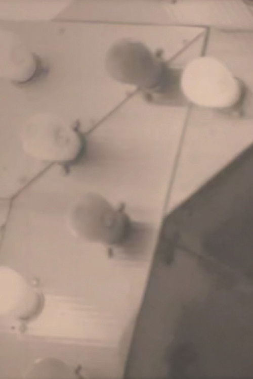 Notes on the Buffalo Conference: “Autobiography in American Independent Cinema” (1973) poster