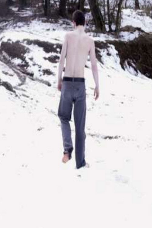 En flicka (2013) poster