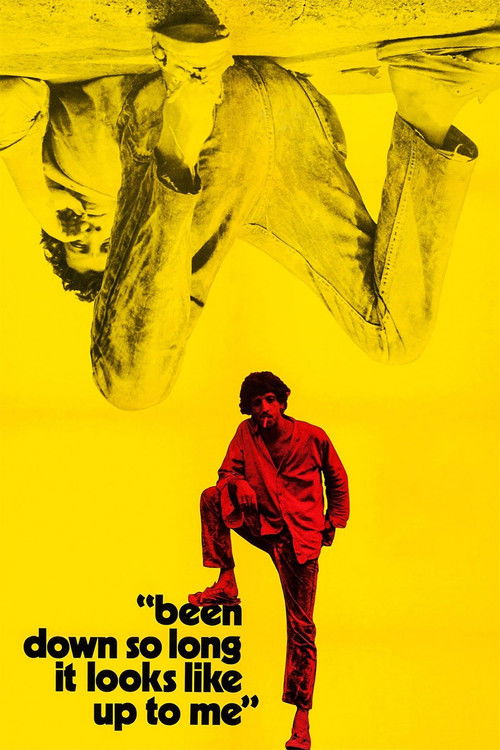 Been Down So Long It Looks Like Up to Me (1971) poster