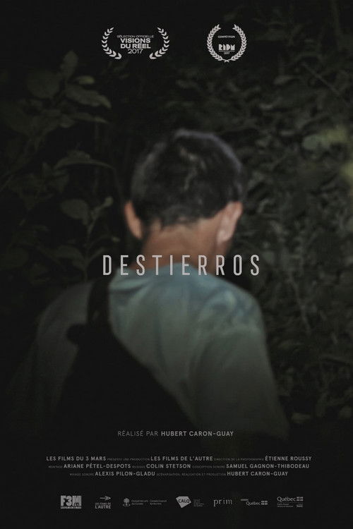 Destierros (2017) poster
