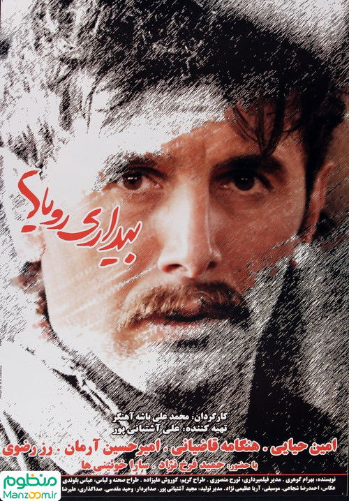 Wakefulness of Dreams (2010) poster