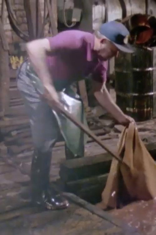 Une tannerie artisanale (1981) poster