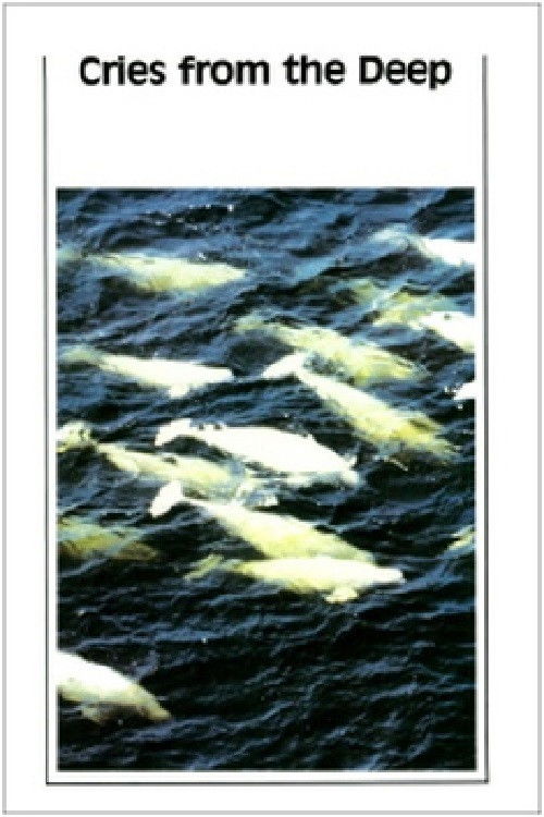 Cries from the Deep (1981) poster