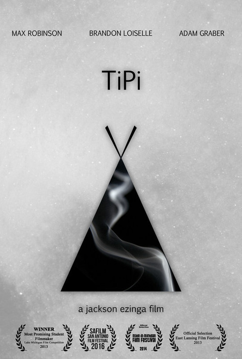TiPi (2013) poster