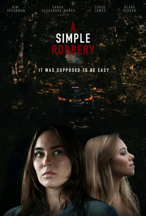 A simple robbery (2020) poster