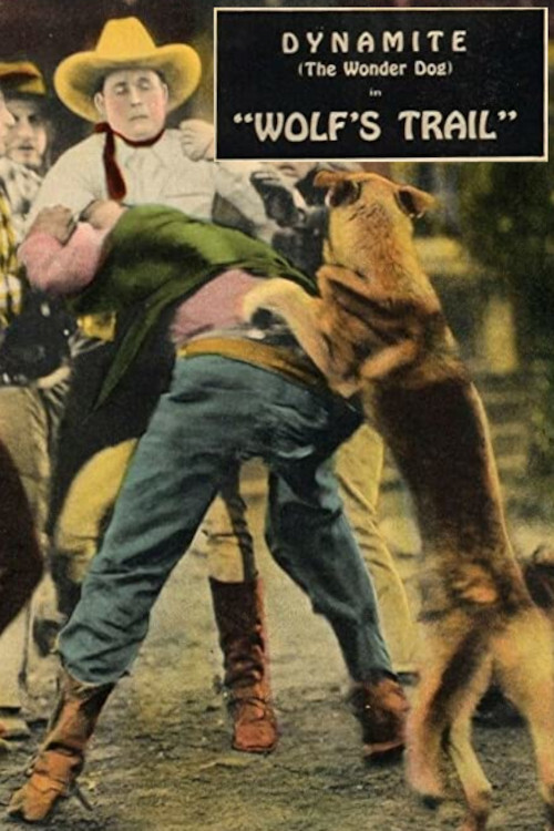 Wolf's Trail (1927) poster