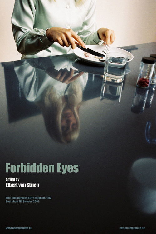Forbidden Eyes (2002) poster