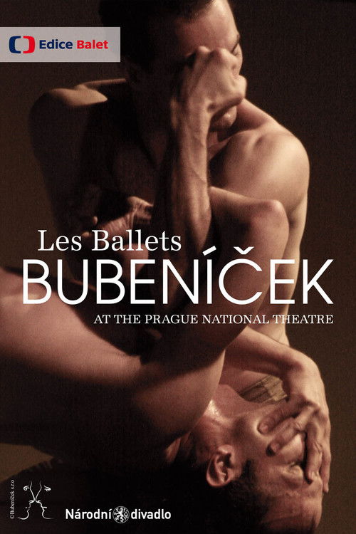Les Ballets Bubeníček (2014) poster