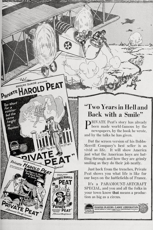 Private Peat (1918) poster