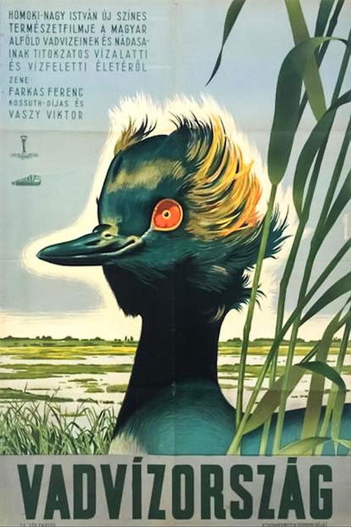 Vadvízország (1951) poster