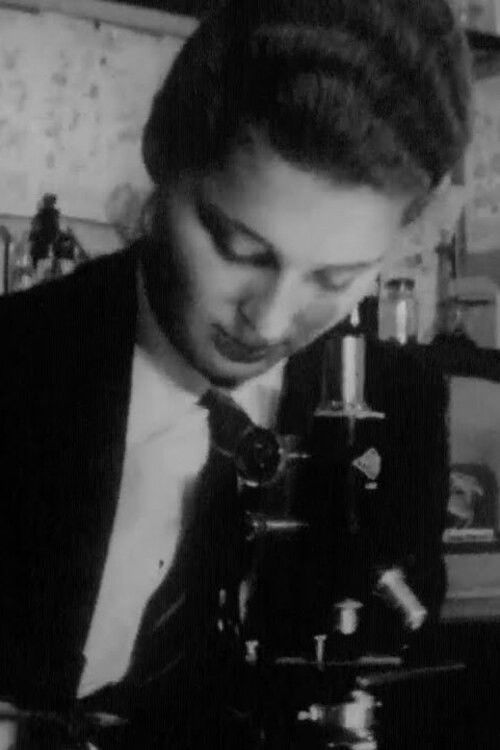 Comprehensive School (1962) poster