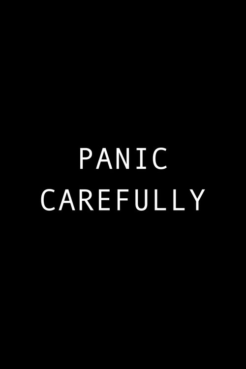 Panic Carefully (2027) poster