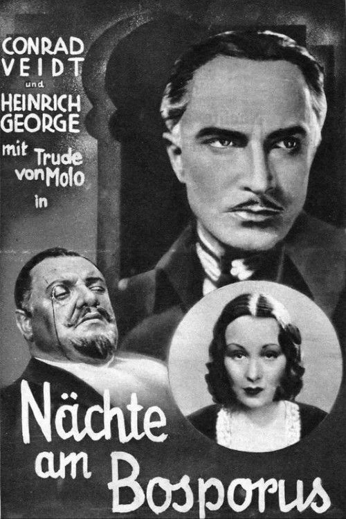 The Man Who Committed the Murder (1931) poster