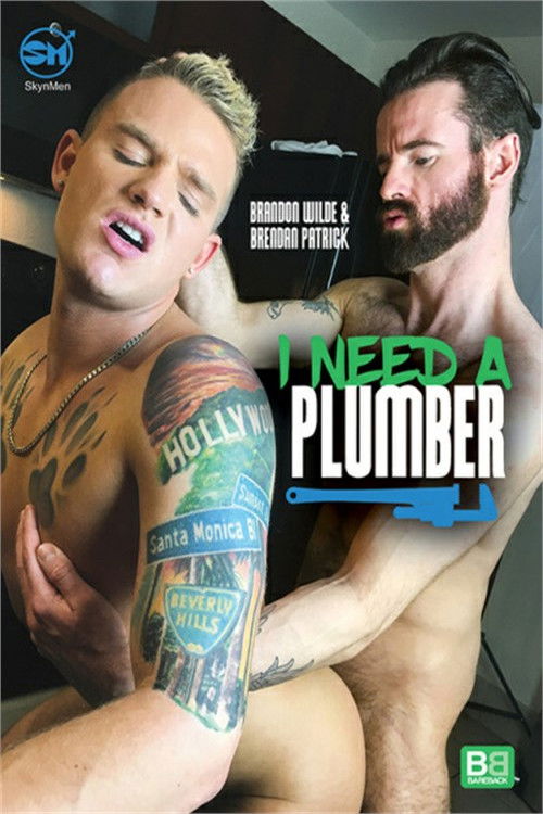 I Need A Plumber (2018) poster