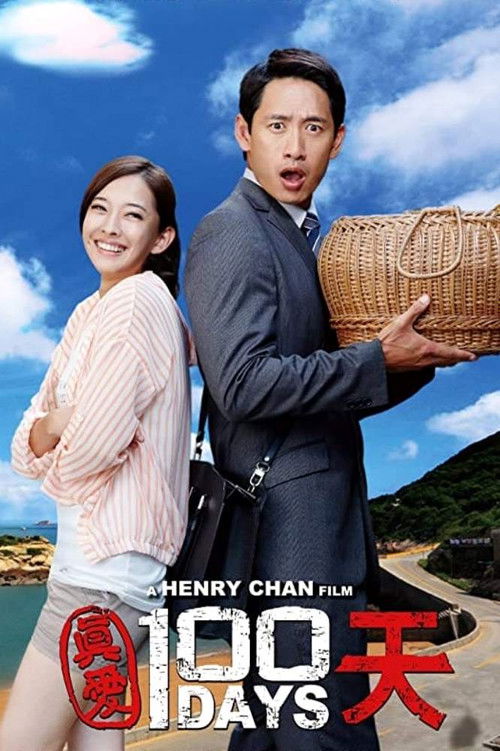 真愛100天 (2013) poster