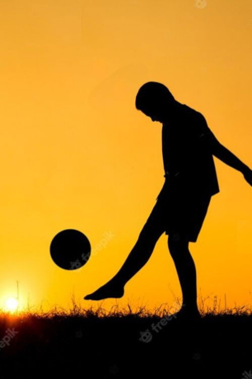 Ao Sol e à Sombra (2024) poster